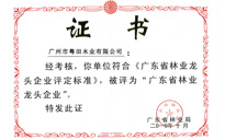 粤田木业荣获广东省林业龙头企业单位称号